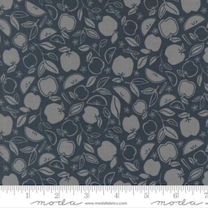 Moda RAINIER - Apple Crisp in Deep Sea (38143 13) - by Jessica Rose - Sold By the YARD - Cut Continuous