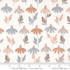Chirp: Daisy Field in Cloud Chirp: Daisy Field in Cloud