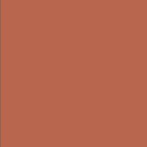 May include: A solid terracotta orange background.