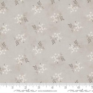 HONEYBLOOM - Friendly Flowers in Stone (44347 14) - by 3 Sisters for Moda - Sold By the YARD - Cut Continuous
