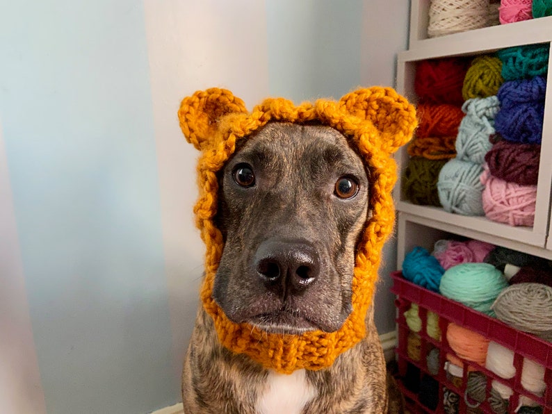 Dog Bear Cowl Dog Winter Scarf Dog Halloween Costume Dog Etsy