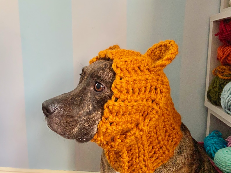 Dog Bear Cowl Dog Winter Scarf Dog Halloween Costume Dog Etsy