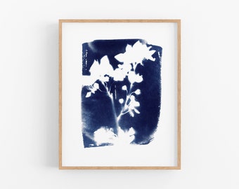 abstract flower cyanotype digital print, botanical artwork for home decor & gifts, unique blue floral wall art, instant download