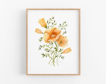 california poppy watercolor art botanical prints, golden orange flower painting, beautiful modern wildflower artwork print