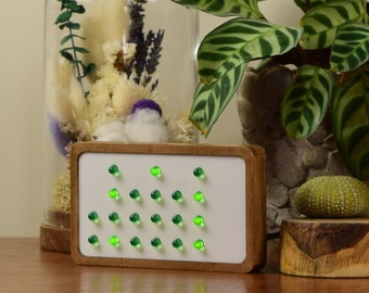 Binary Clock, 24-hour clock, GREEN LED, choose your front color, wooden clock