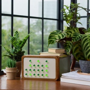 Binary Clock, 24-hour clock, GREEN LED, choose your front color, wooden clock