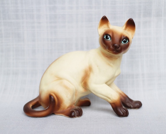 chocolate point siamese