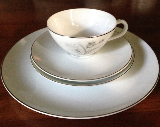 Creative Royal Elegance Fine China Tulip Pattern Retro Midcentury