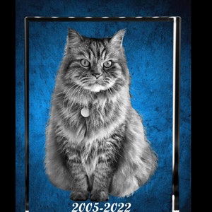CAT MEMORIAL FRAME, Pet Remembrance Gift, 3d Photo Crystal, Pet Picture Frame, 3d Personalized Dog Picture Laser Etched Crystal Glass Block