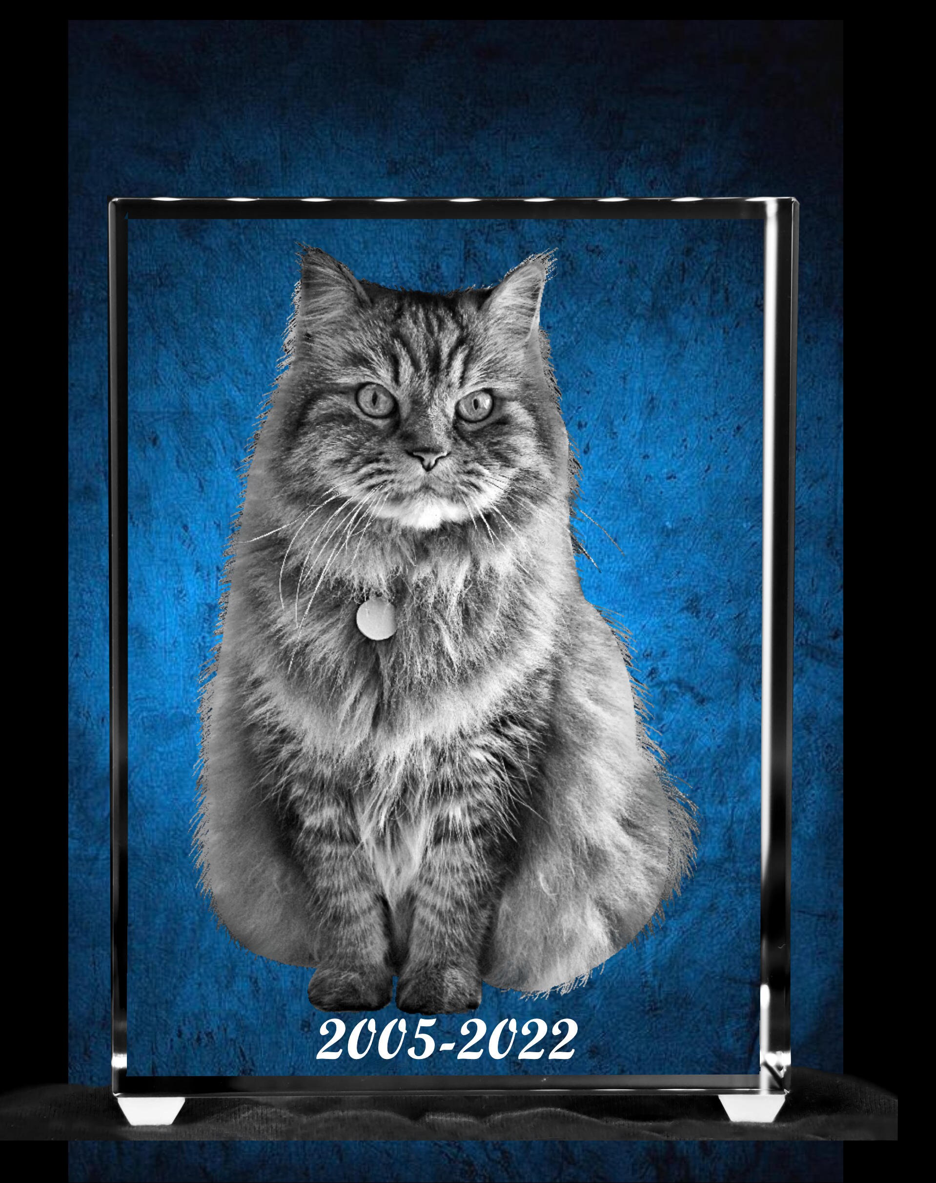 猫のメモリアルフレーム、ペットの追悼ギフト、3Dフォトクリスタル