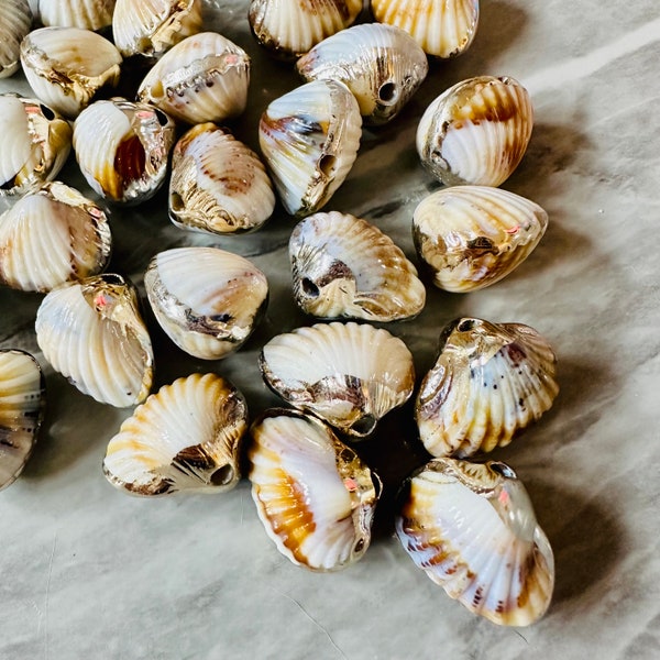 Perles de coquille de palourde trempées dans l'or, fabrication de bijoux de collier de perles de boucle d'oreille, 1 trou blancs métalliques bruns blancs coquillage ormeau gros océan mer