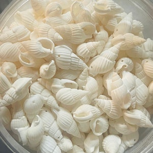 VENTA AL POR MAYOR de almeja Swirly Shell con 1 agujero, cuentas de concha, cuentas de venta, cuentas de liquidación, cuentas colgantes de agujero, fabricación de joyas, puka blanco hawaii