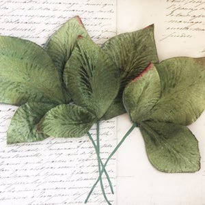 May include: A bunch of six green velvet leaves with red edges. The leaves are attached to wire stems.