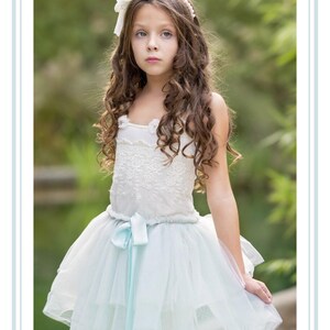 Bluebird Tutu Kleid. blaues Tutu Kleid. Gefrorenes blaues Tutu Kleid. Tutu Kostüm. Tutu Ballettkleid. Party tutu. Blumenmädchen tutu. Tüllkleid