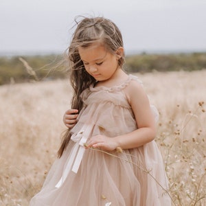 flower girl dress. tutu dress. Fairy Floss dress, Child dress, party dress, dress up clothes. baptism dresses. image 1