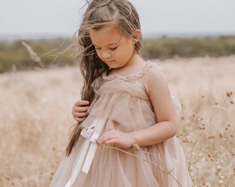 flower girl dress. tutu dress. Fairy Floss dress, Child dress, party dress, dress up clothes. baptism dresses.