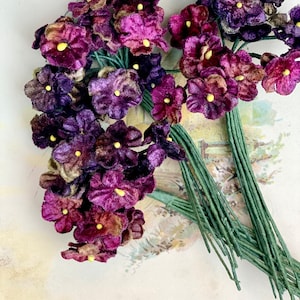 Antique Purple