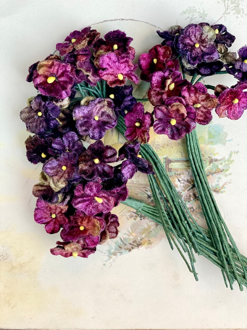 Antique Purple