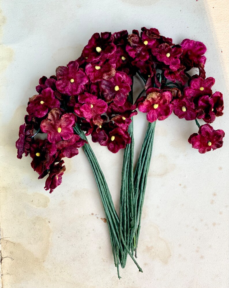 May include: A bunch of burgundy velvet flowers with yellow centers, attached to green stems. The flowers are arranged in a bouquet shape.