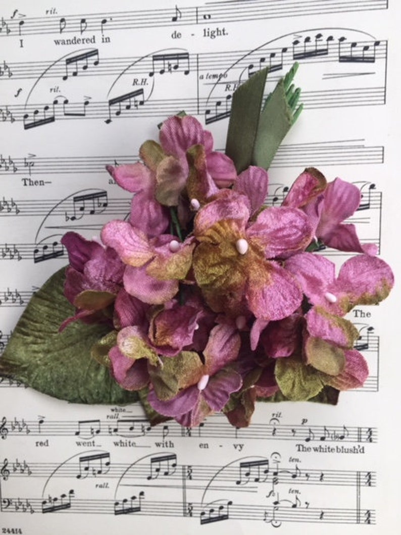 May include: A cluster of pink and green velvet flowers, resembling hydrangeas, arranged on a sheet of music. The music sheet features the words "wandered in de light" and "The white blush'd ten."