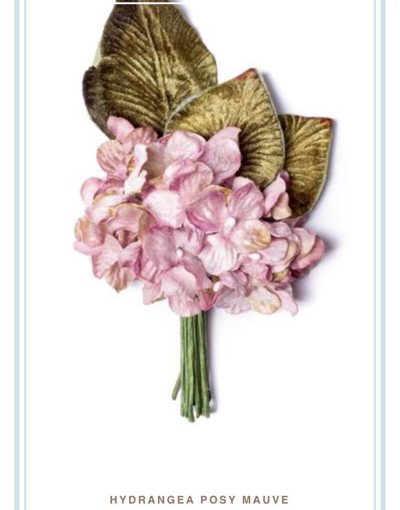 May include: A bouquet of mauve hydrangea flowers with green velvet leaves. The flowers are arranged in a cluster and the leaves are behind the flowers. The bouquet is on a white background.  HYDRANGEA POSY MAUVE