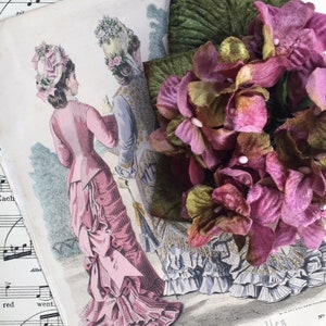 May include: A vintage illustration of two women in elaborate dresses from the 1800s. The women are wearing large hats and are standing in a garden setting. The illustration is printed on a sheet of paper with music notes and the text "Journal des Demoiselles" and "ET PETIT COURRIER DES DAMES REUNIS".