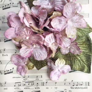 May include: A bouquet of pale pink velvet hydrangeas with green leaves, arranged on a sheet of music with the words "The white blush'd" visible.