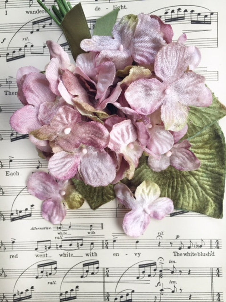 May include: A bouquet of pale pink velvet hydrangeas with green leaves, arranged on a sheet of music with the words "The white blush'd" visible.