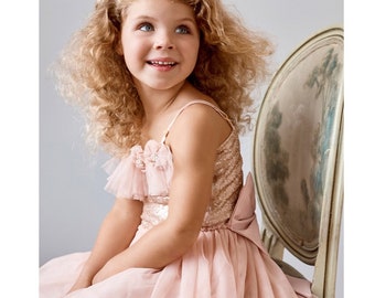 tulle and sequin flower girl dress . Tulle dress . Giselle ballet tulle dress .