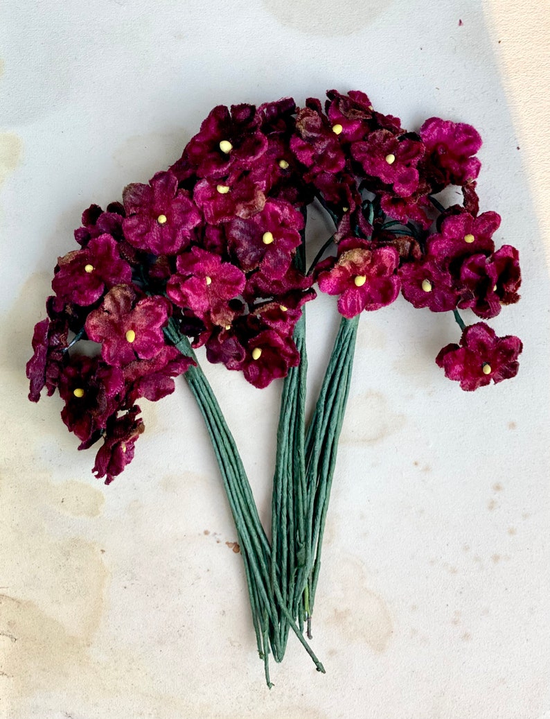 May include: A bunch of deep purple velvet flowers with yellow centers on green stems. The flowers are arranged in a bouquet.