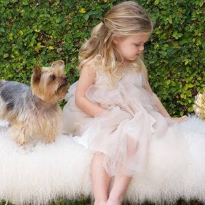 flower girl dress. tutu dress. Fairy Floss dress, Child dress, party dress, dress up clothes. baptism dresses. image 6