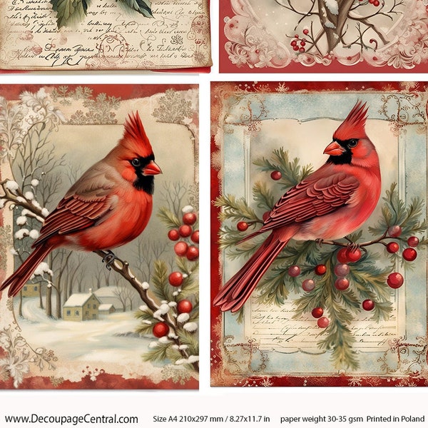 A4 Cardinal Collection , 4 images on one page,  Decoupage Rice Paper, DC115
