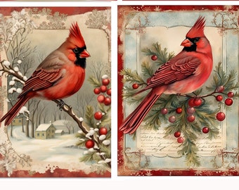 A4 Cardinal Collection , 4 images on one page,  Decoupage Rice Paper, DC115