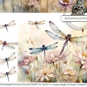 A4 Dragonfly Fields Duo Decoupage Rice Paper, DC232
