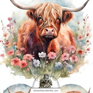 A4 Highland Cow Circles, Decoupage Rice Paper, DC197