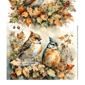 May include: Two watercolor paintings of birds perched on branches with autumn leaves. The birds are brown, blue, and white with detailed feathers. The leaves are shades of orange, yellow, and green.