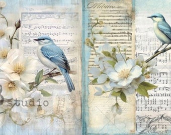 A4 Blue Bird Collection ID89 Milky Valley Decoupage Rice Paper
