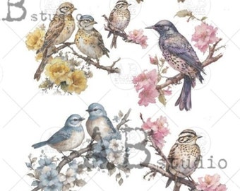 A4 Birds on A Branch Spring Rice Paper 4506
