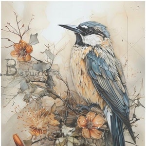 A4  Watercolor Bluejar Carte Italiano Rice Paper 94