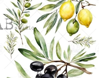 A4 Olives Carte Italiano Rice Paper 23