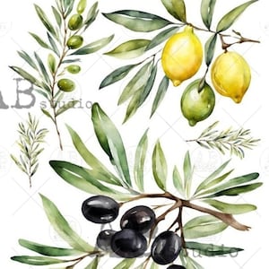 A4 Olives Carte Italiano Rice Paper 23
