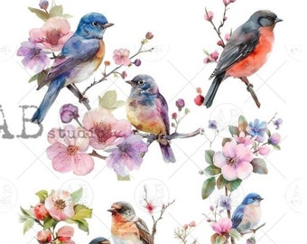 A4  Beautiful Bird Collection Carte Italiano Rice Paper 83