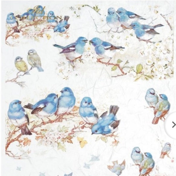 A4 Little Blue Birds,  ITD  Rice Paper R064
