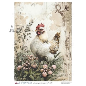 May include: Decoupage rice paper featuring a detailed illustration of a white hen with brown markings, a red comb, and wattle. The hen is surrounded by pink berries and green foliage, set against a vintage-style background. The text "Le Petit Paris" is visible.