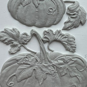 NEW IOD Hello Pumpkin Mould Limited Release, Christmas Pumpkin , 6x10 image 5