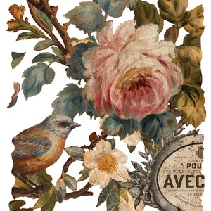 IOD Joie Des Roses Rub On Transfer, FREE SHIPPING, 8 pages, 12 x16 book image 7