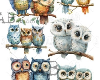 A4  Cartoon Owls Multi Carte Italiano Rice Paper 86