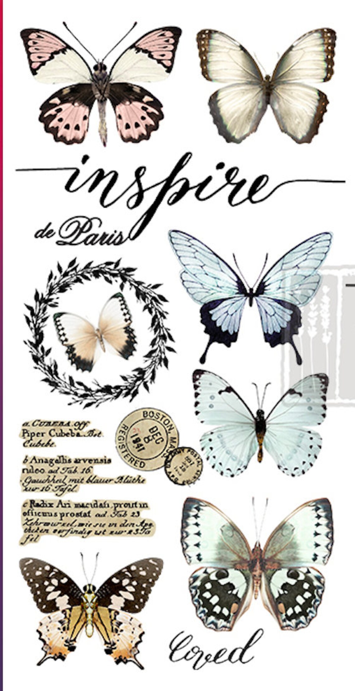 Affordable transfers PAPILLON BUTTERFLY Rub On Furniture Etsy