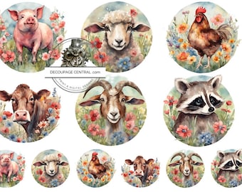 A4 Barnyard Circles, Decoupage Rice Paper, DC193