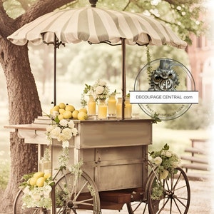 A4 Lemonade Stand Rice Paper, DC186